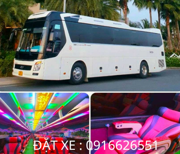 Xe 29 chỗ - Limousine 